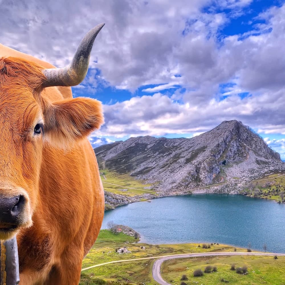 Lakes of Covadonga — 