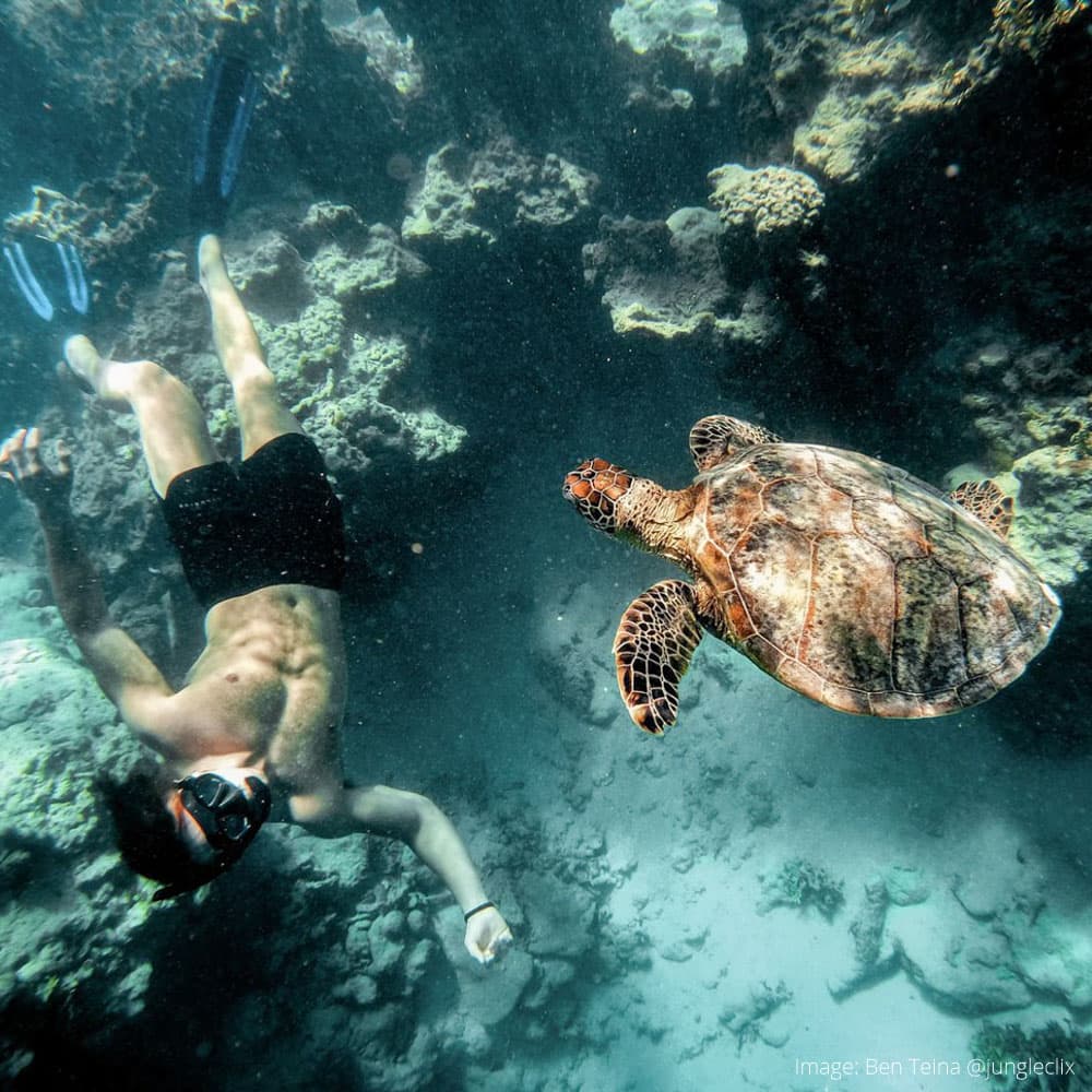 Dive Rarotonga — 