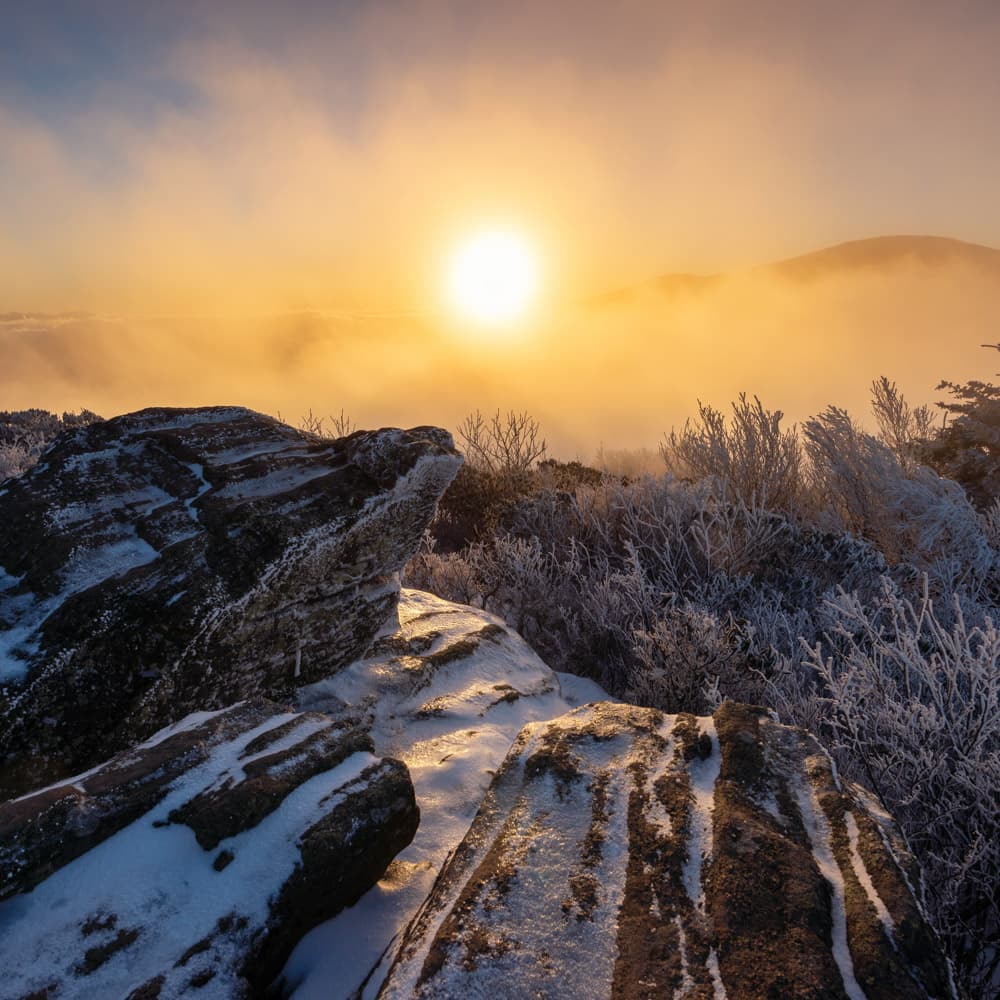 Roan Mountain State Park — 