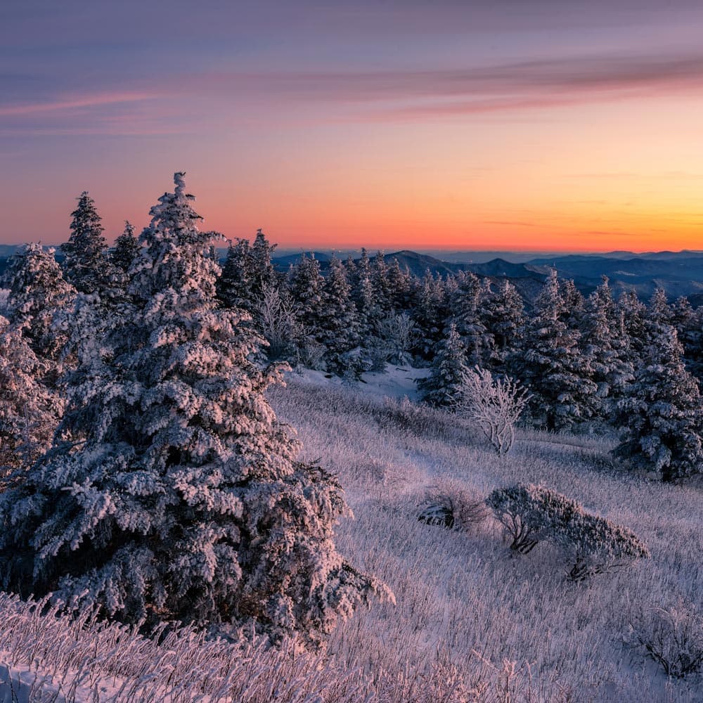 Roan Mountain State Park — 