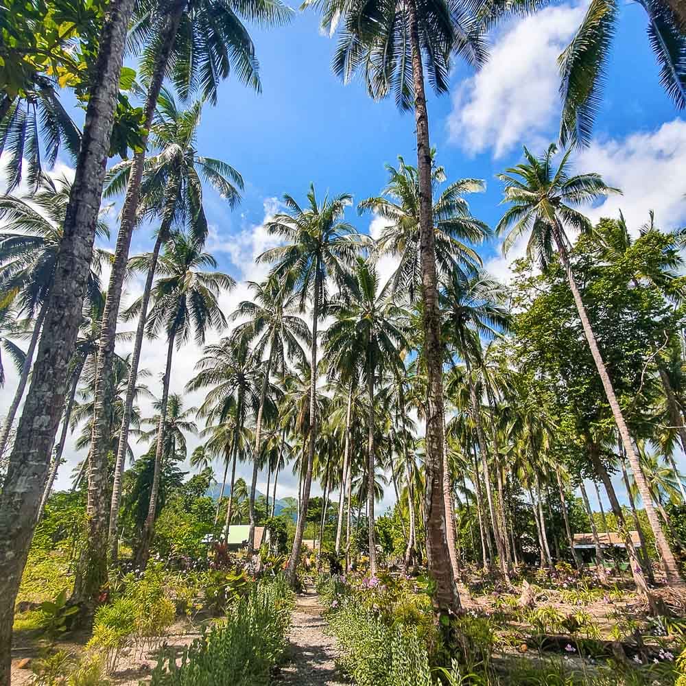 Titiru Eco Lodge — 