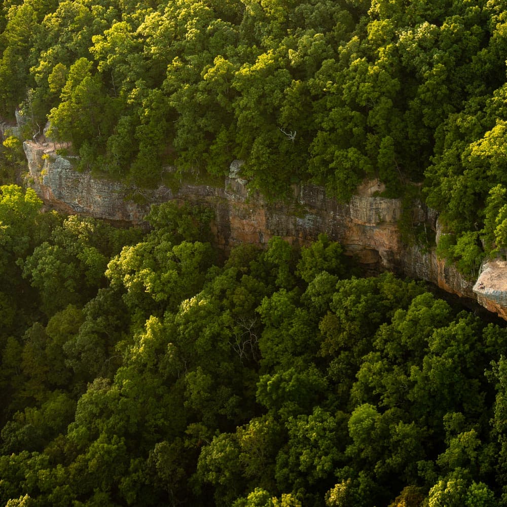 Whitaker Point — 
