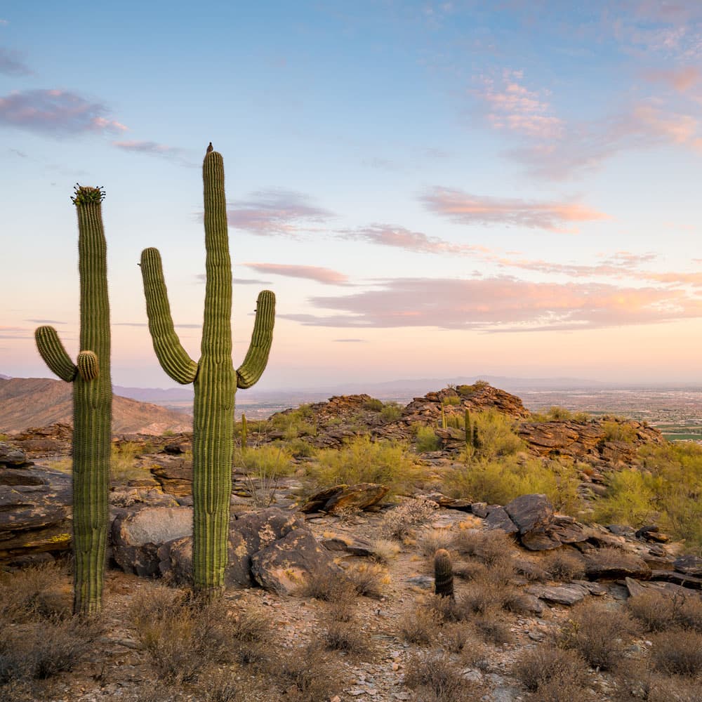 South Mountain — 