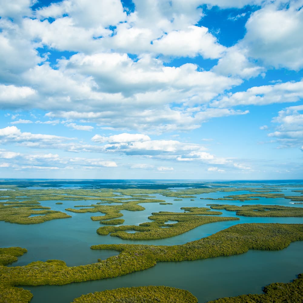 Ten Thousand Islands — 