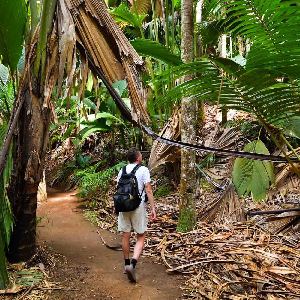 Vallée de Mai Nature Reserve — 