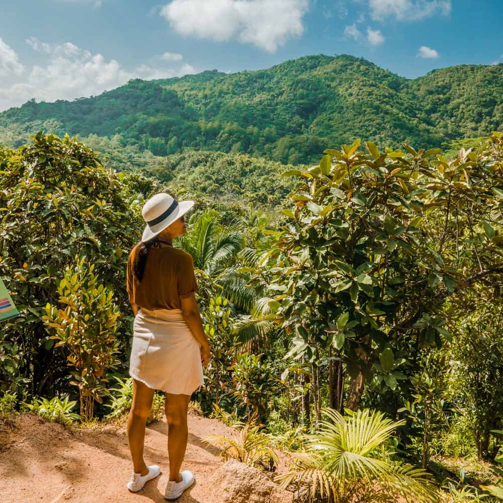 Vallée de Mai Nature Reserve — 