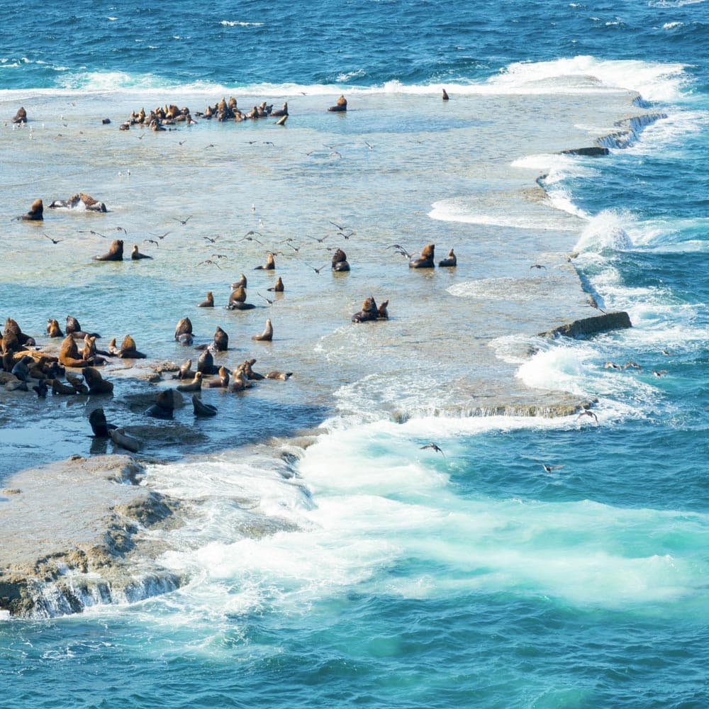 Valdes Peninsula — 