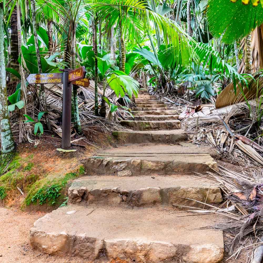 Vallée de Mai Nature Reserve — 