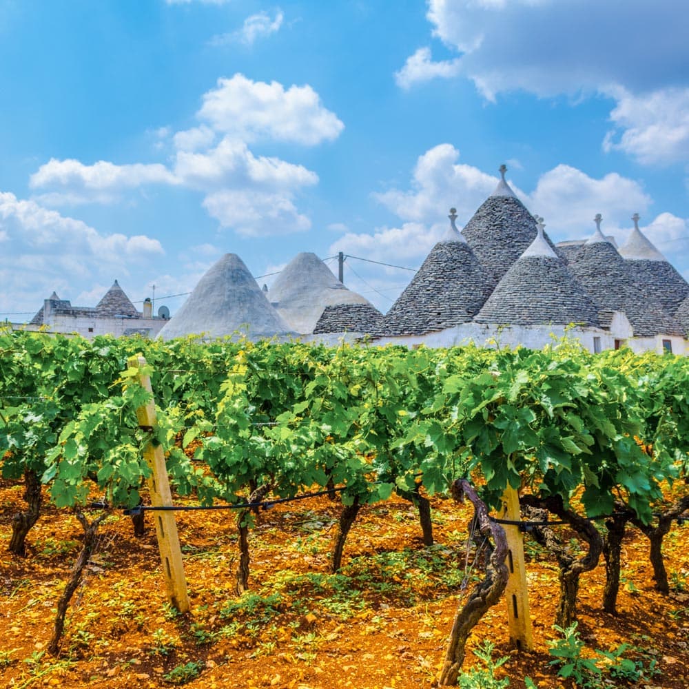 Alberobello — 