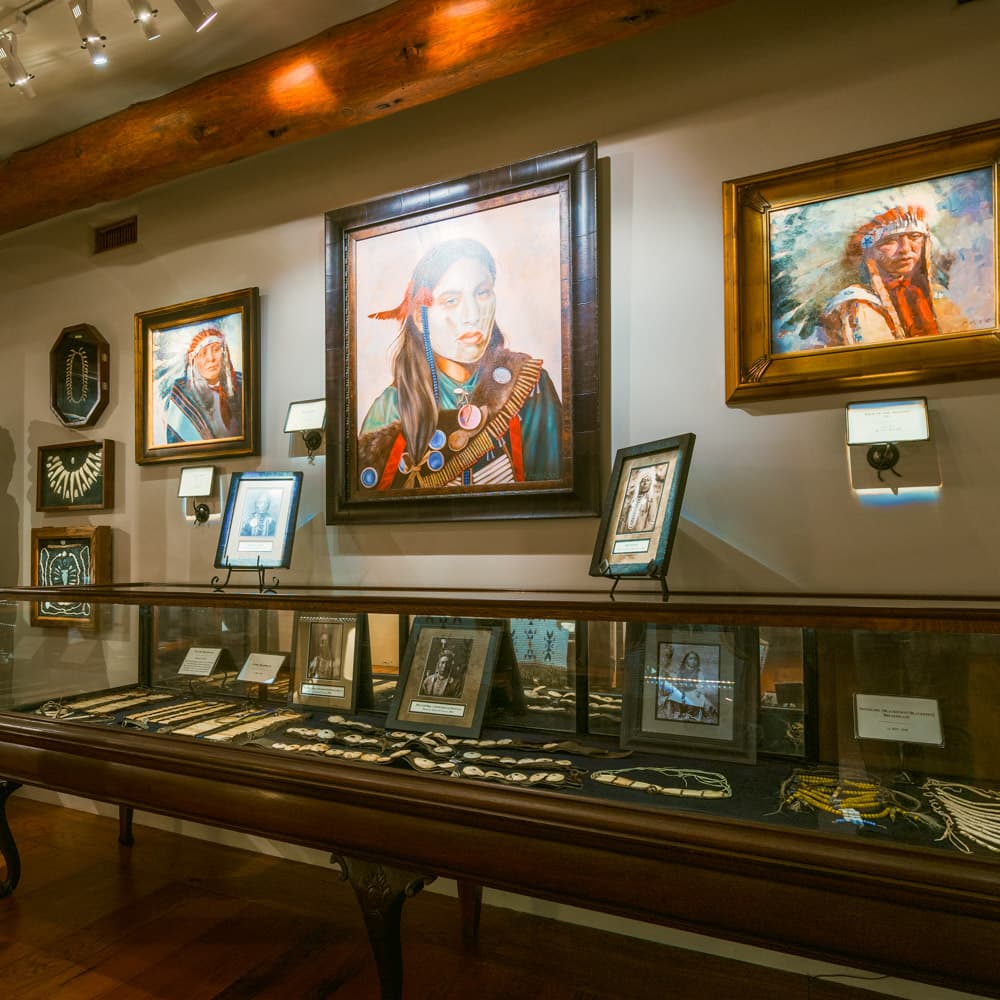 Ancient Ozarks Natural History Museum — 