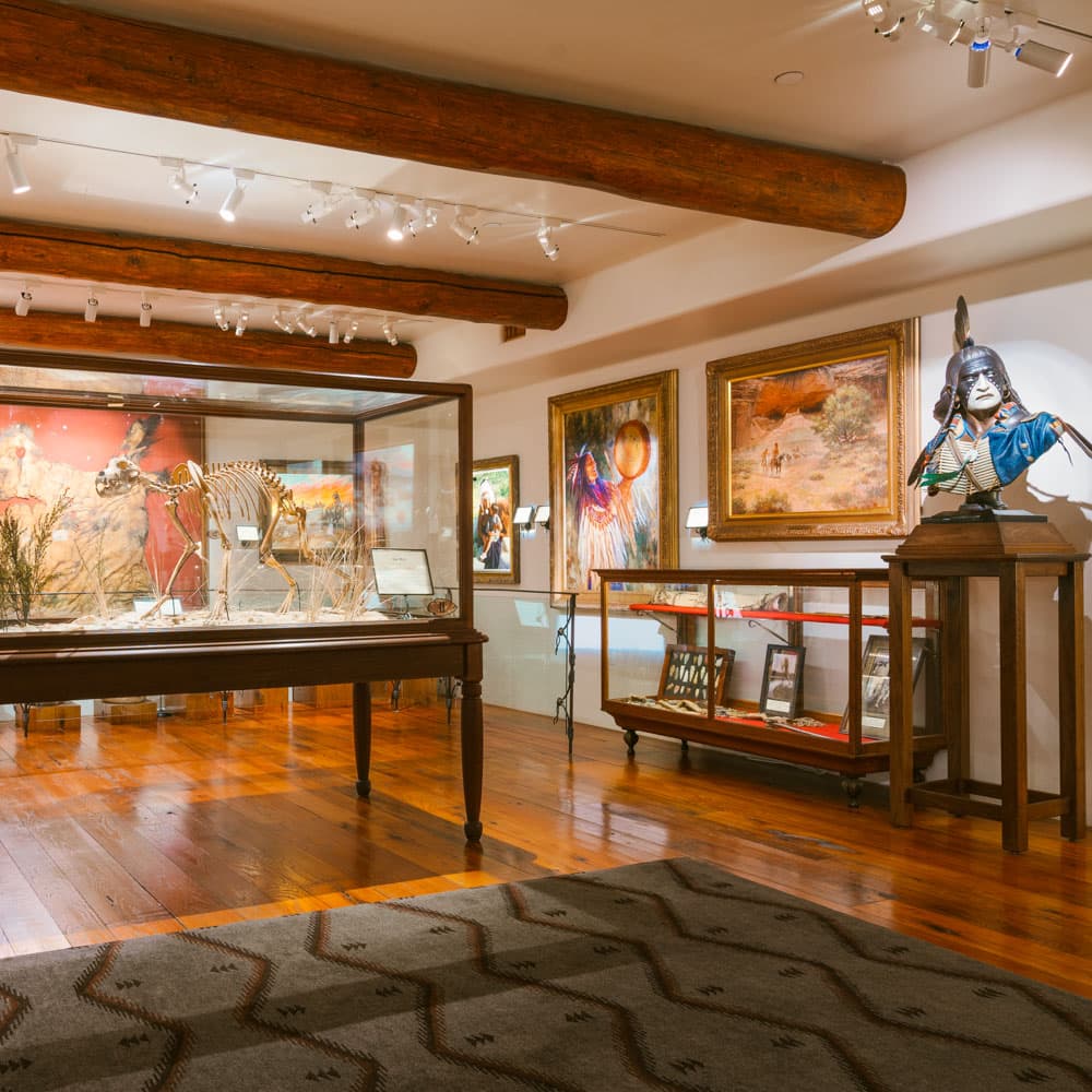 Ancient Ozarks Natural History Museum — 
