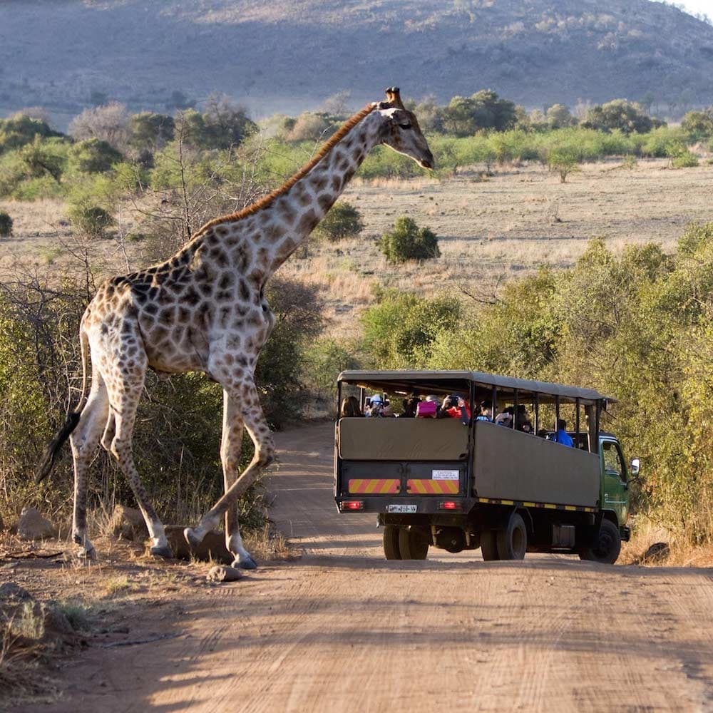 Pilanesberg National Park & Game Reserve — South Africa, Africa