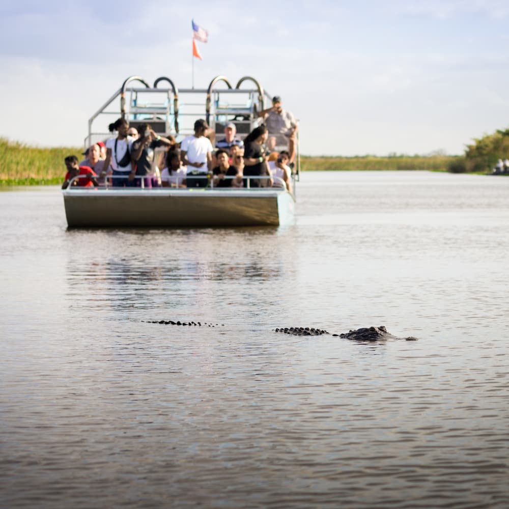 Everglades Airboat Tours — 