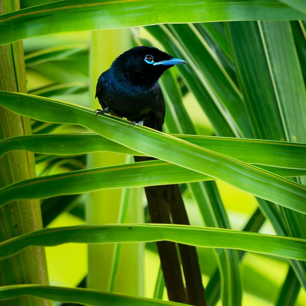 Veuve Nature Reserve — 