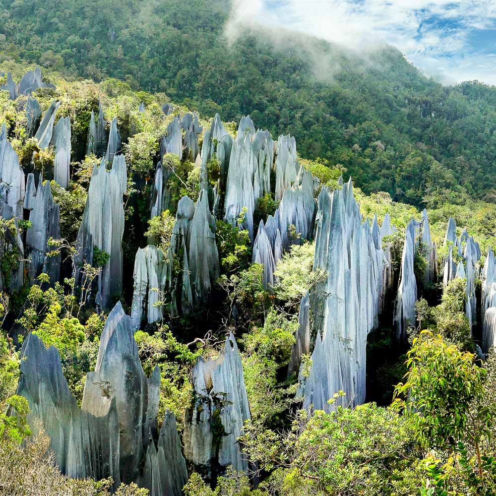 Gunung Mulu National Park — 