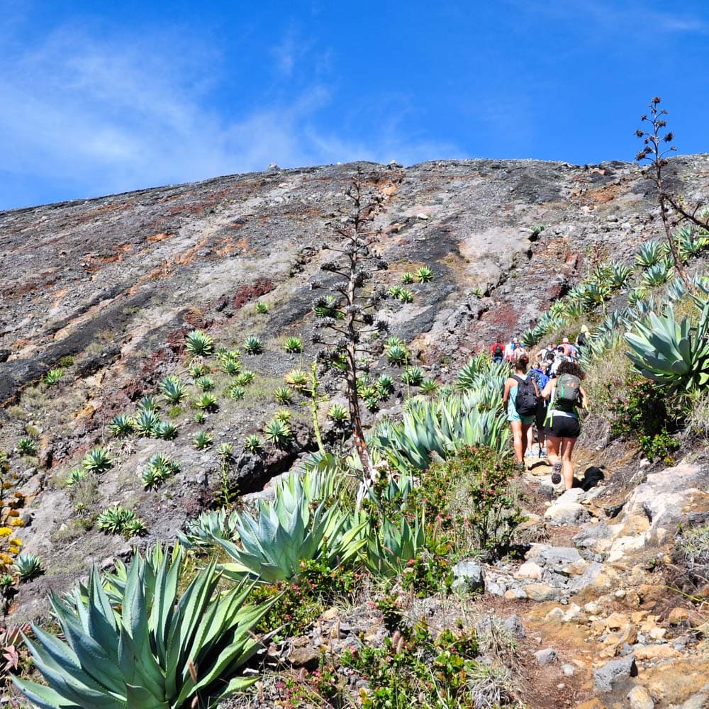 Volcan de Santa Ana — 