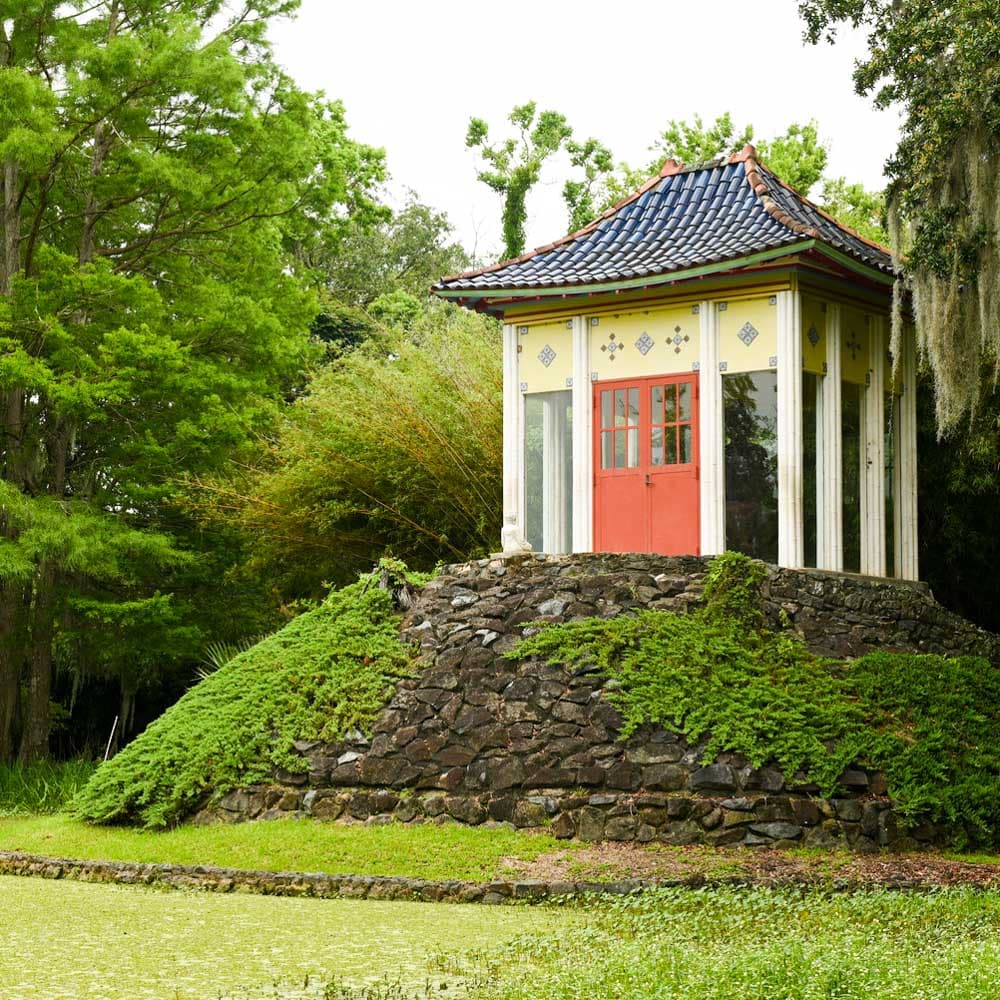 Jungle Gardens — 