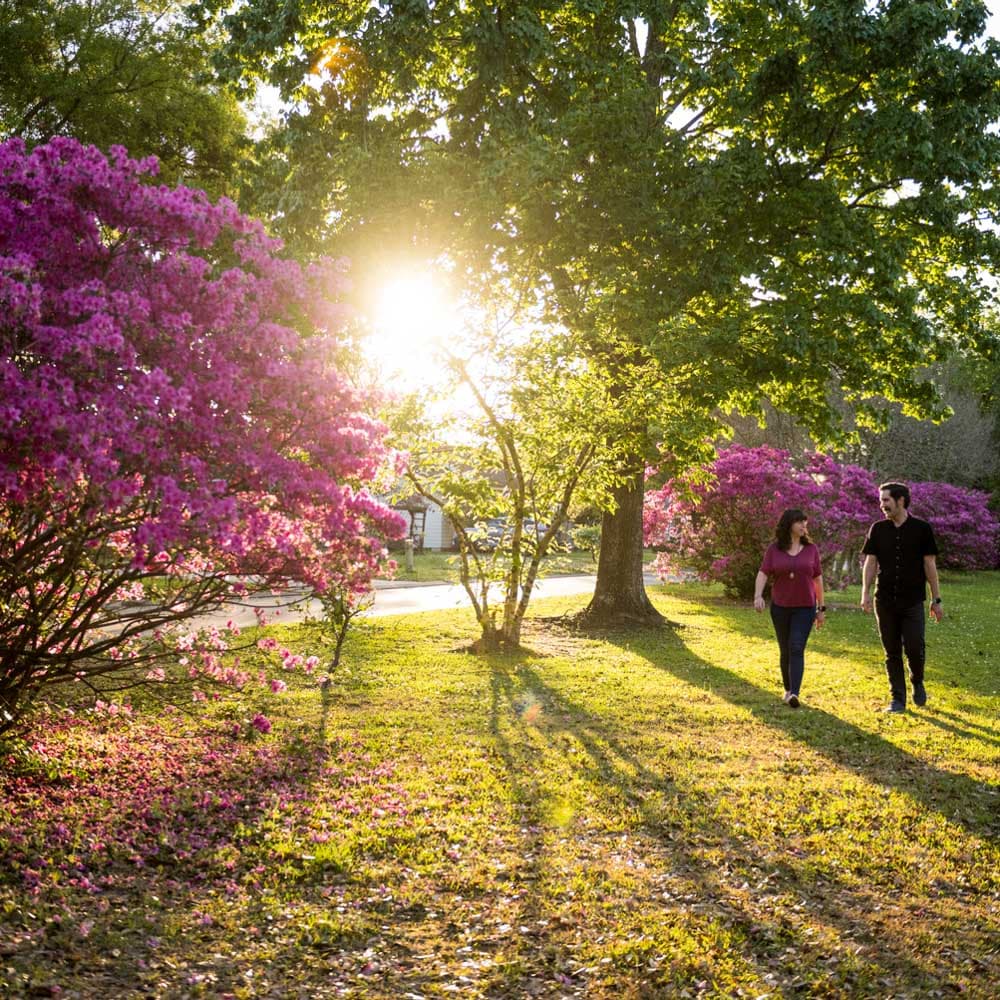 Lafayette Azalea Trail — 