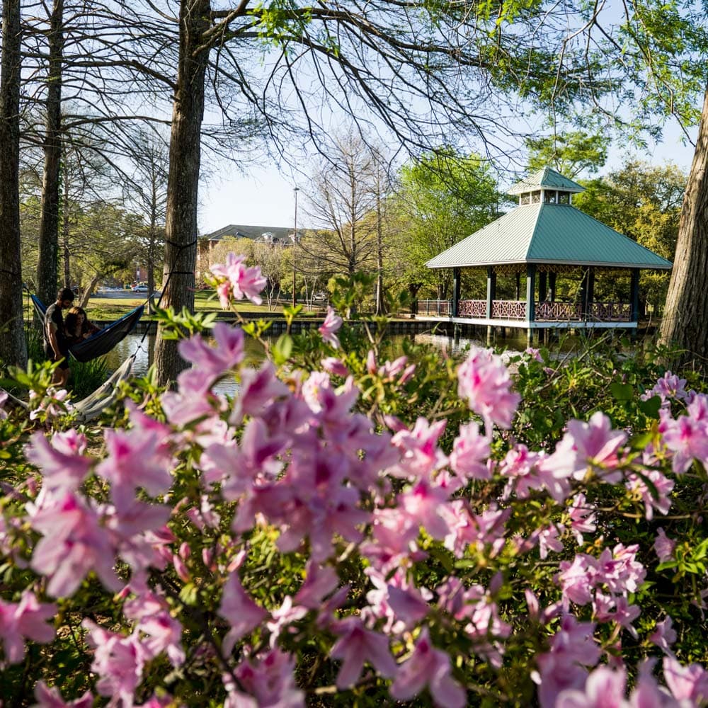 Lafayette Azalea Trail — 
