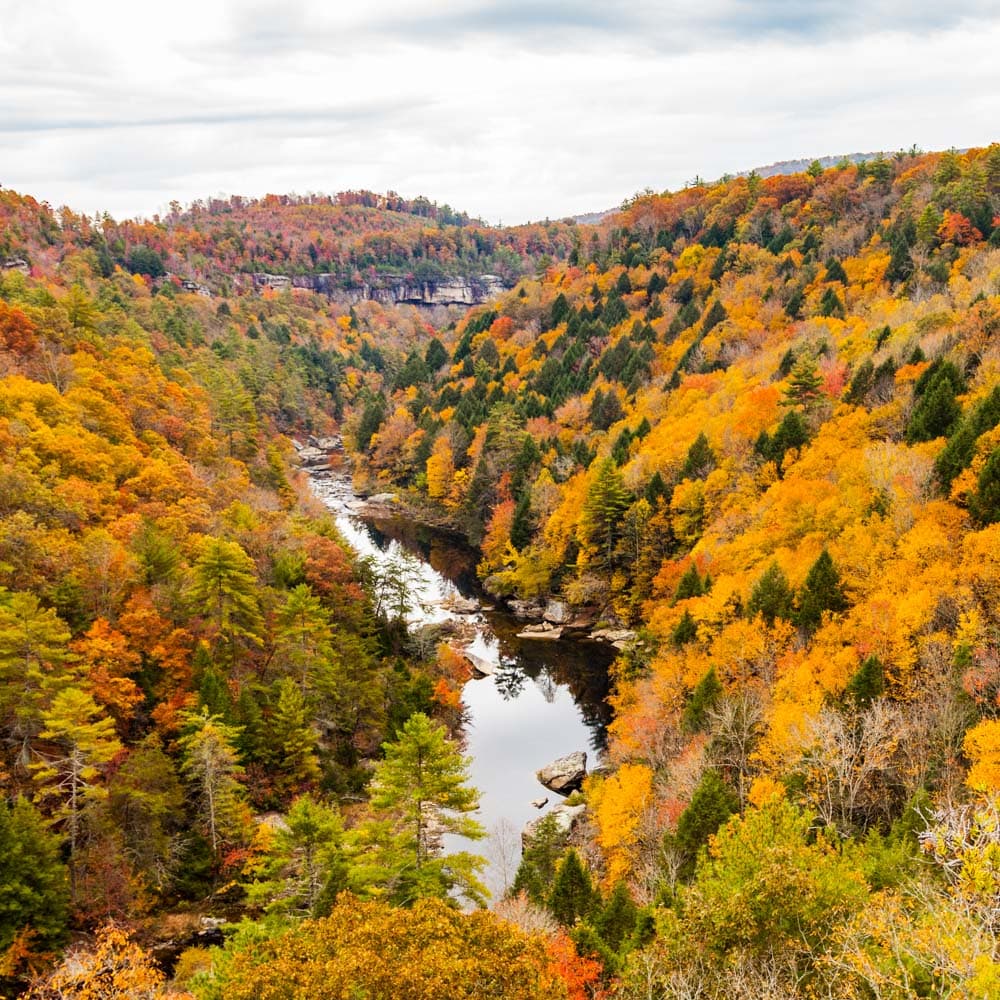 Obed Wild & Scenic River — 