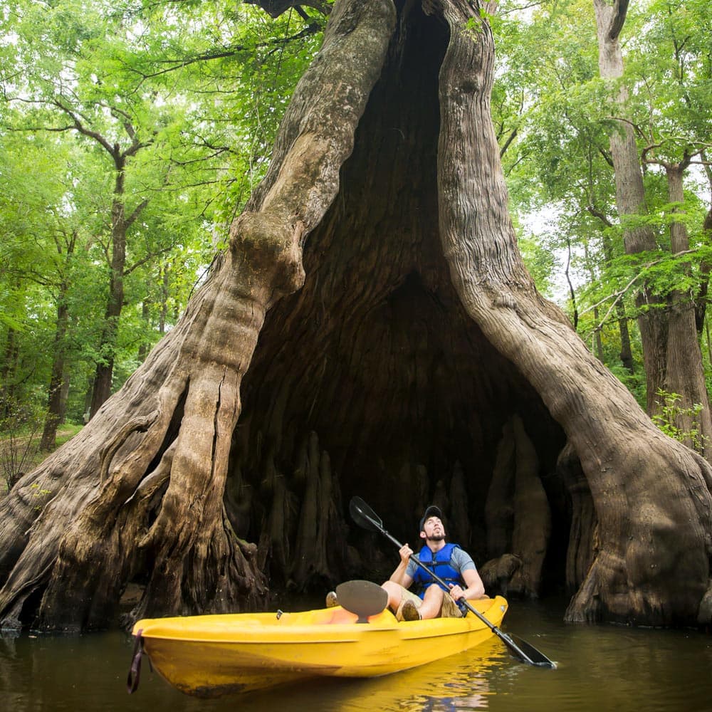 Paddling Louisiana — 