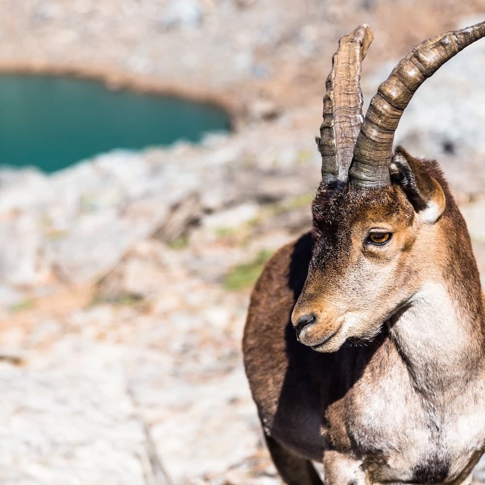 Sierra Nevada National Park — Spain, Western Europe