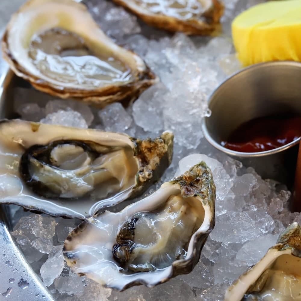 The Oyster Society — 