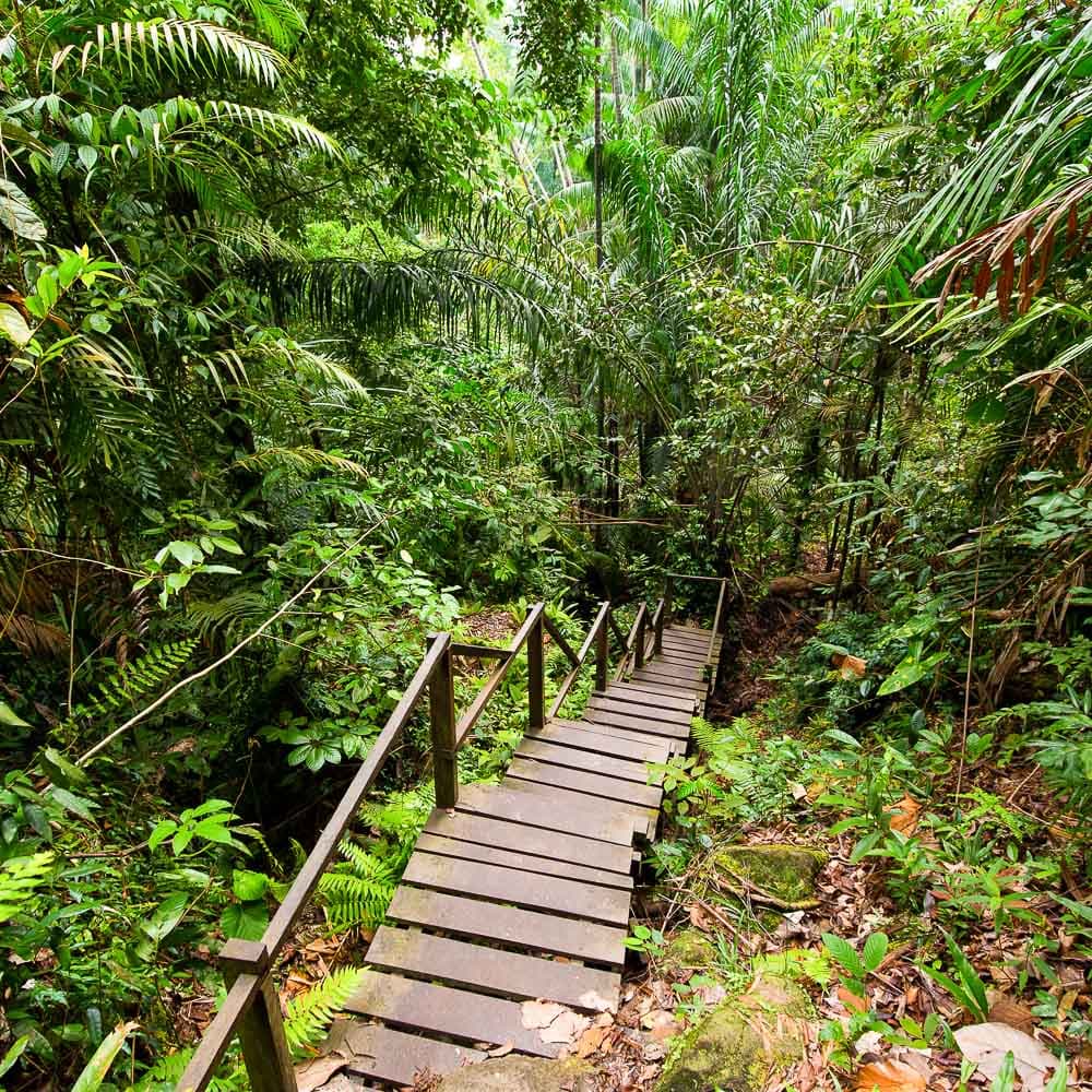Bako National Park — 