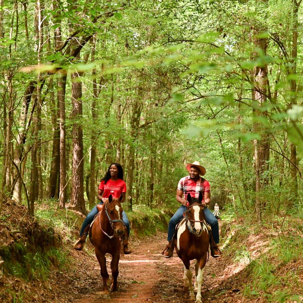 Bogue Chitto State Park — 