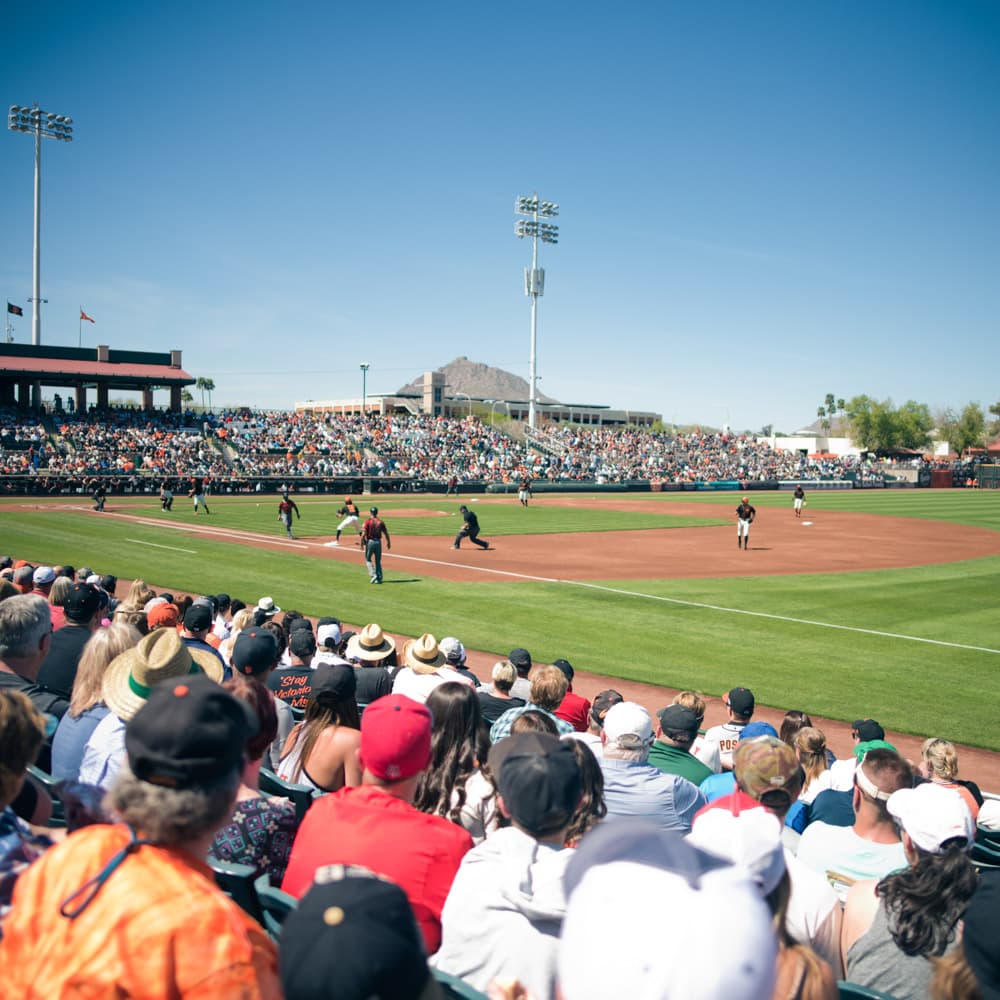 Cactus League Spring Training — 