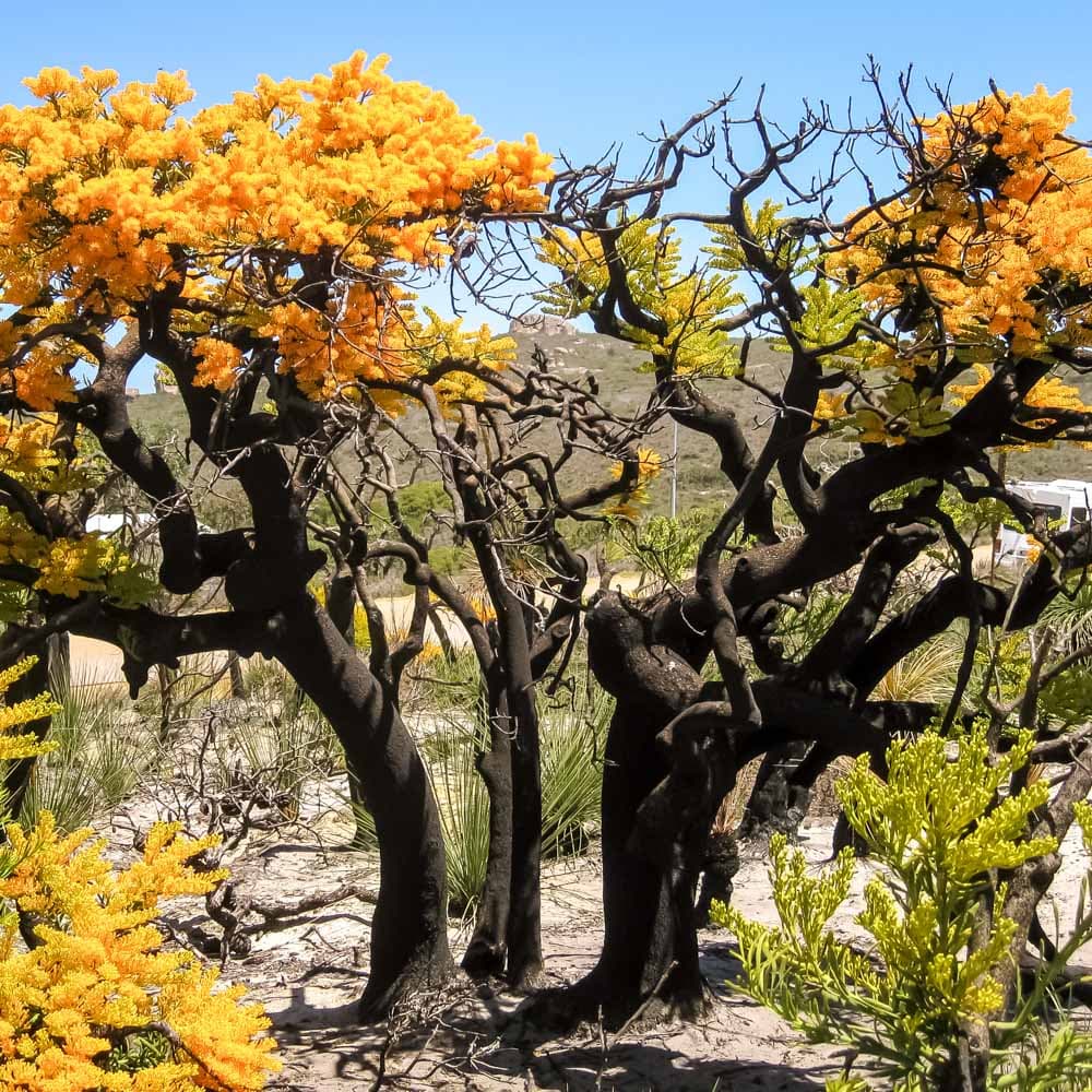Cape Le Grand National Park — 