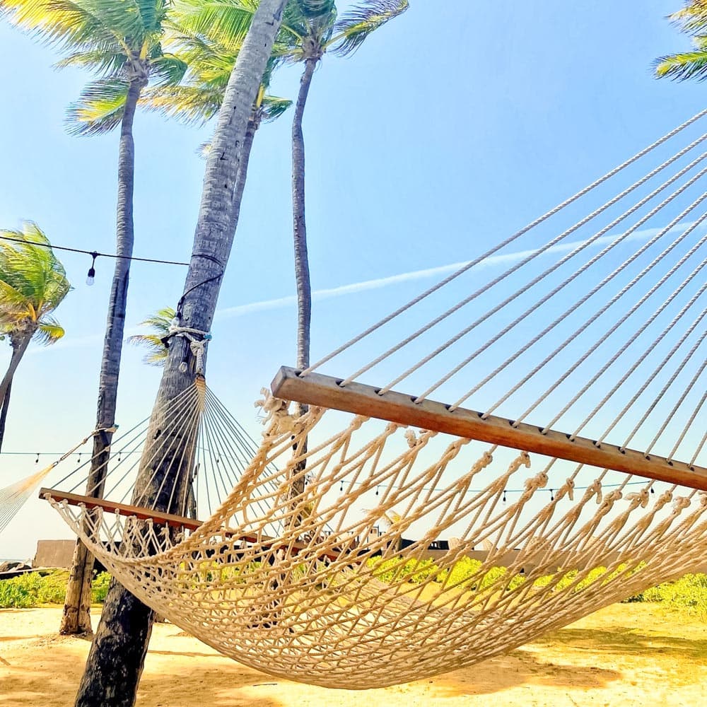 Caribe Hilton — 
