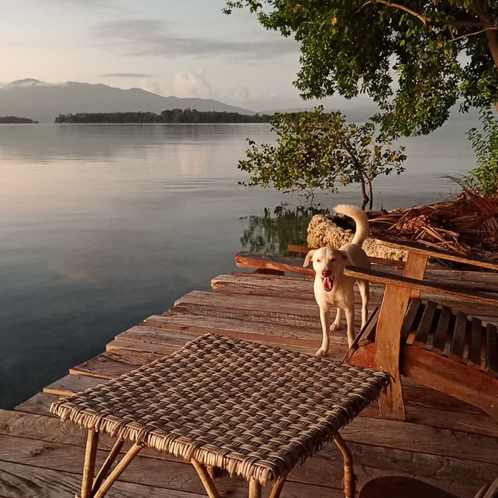 Castaway Lagoon Resort — 