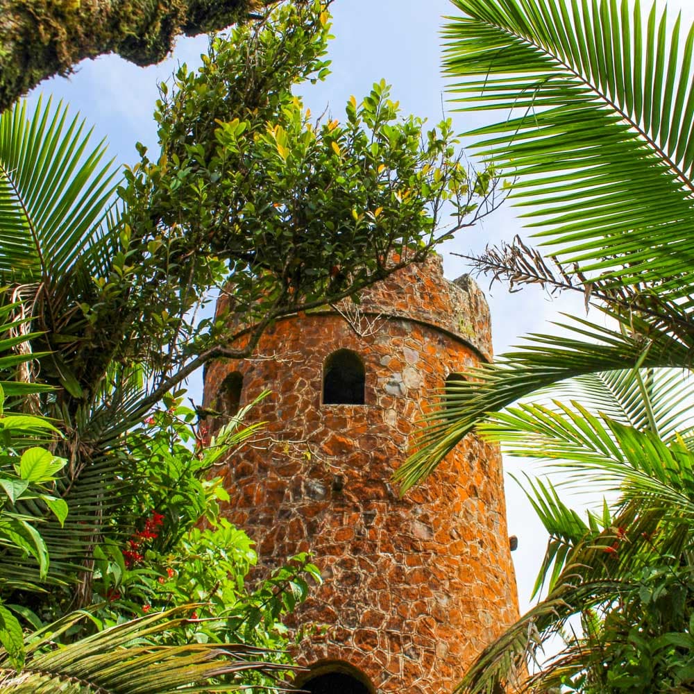 El Yunque Rainforest — 