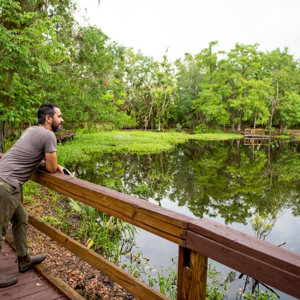 Jean Lafitte Wetland Trace — 