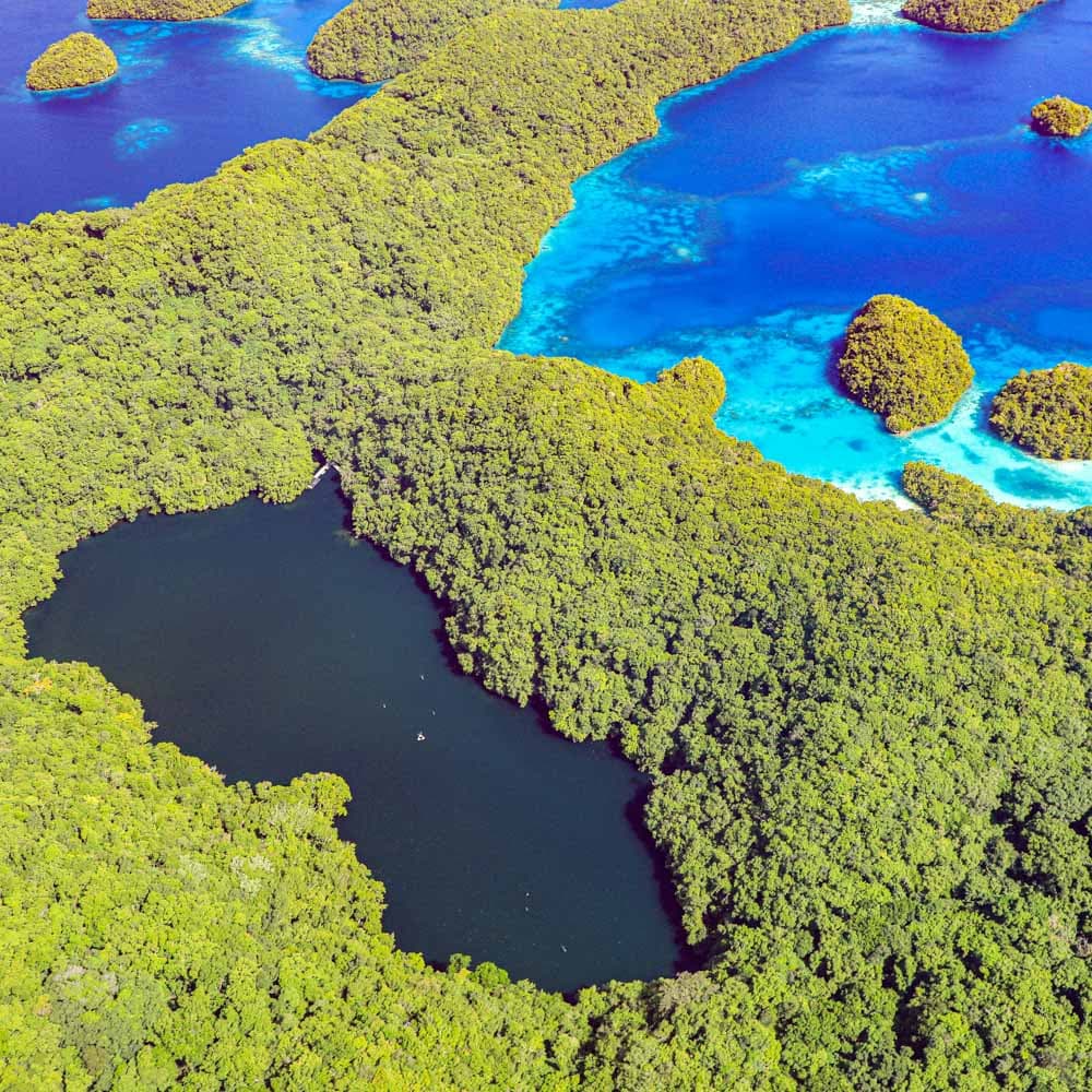 Jellyfish Lake — 