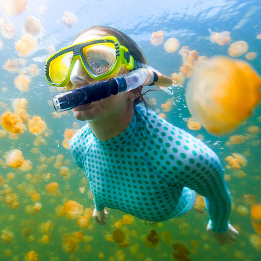 Jellyfish Lake — 