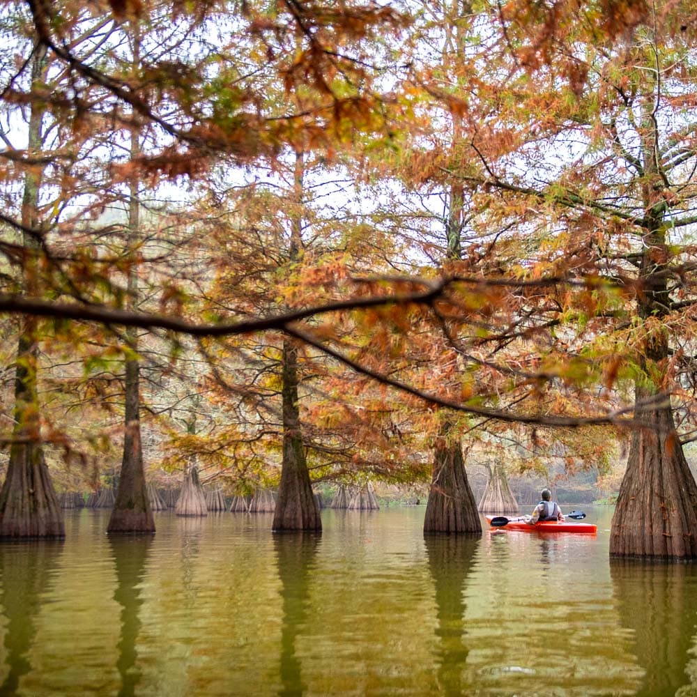 Lake Chicot State Park — Arkansas, United States, North America
