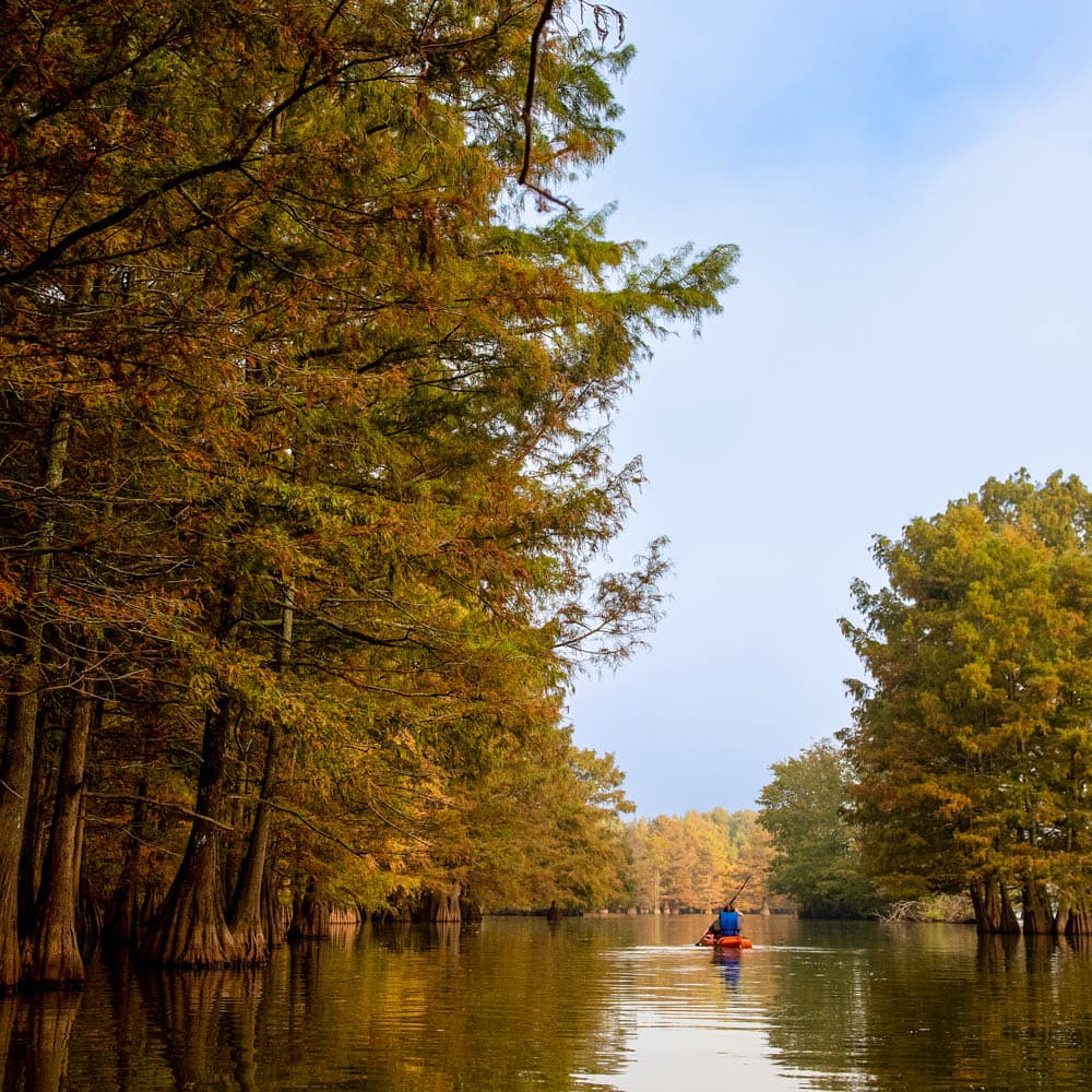 Lake Chicot State Park — 