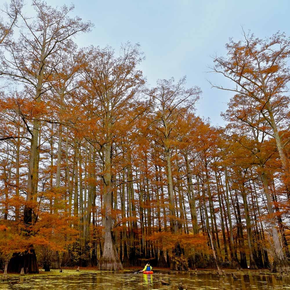 Lake Chicot State Park — 