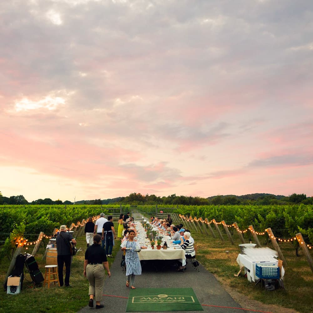 Macari Vineyards & Winery — 
