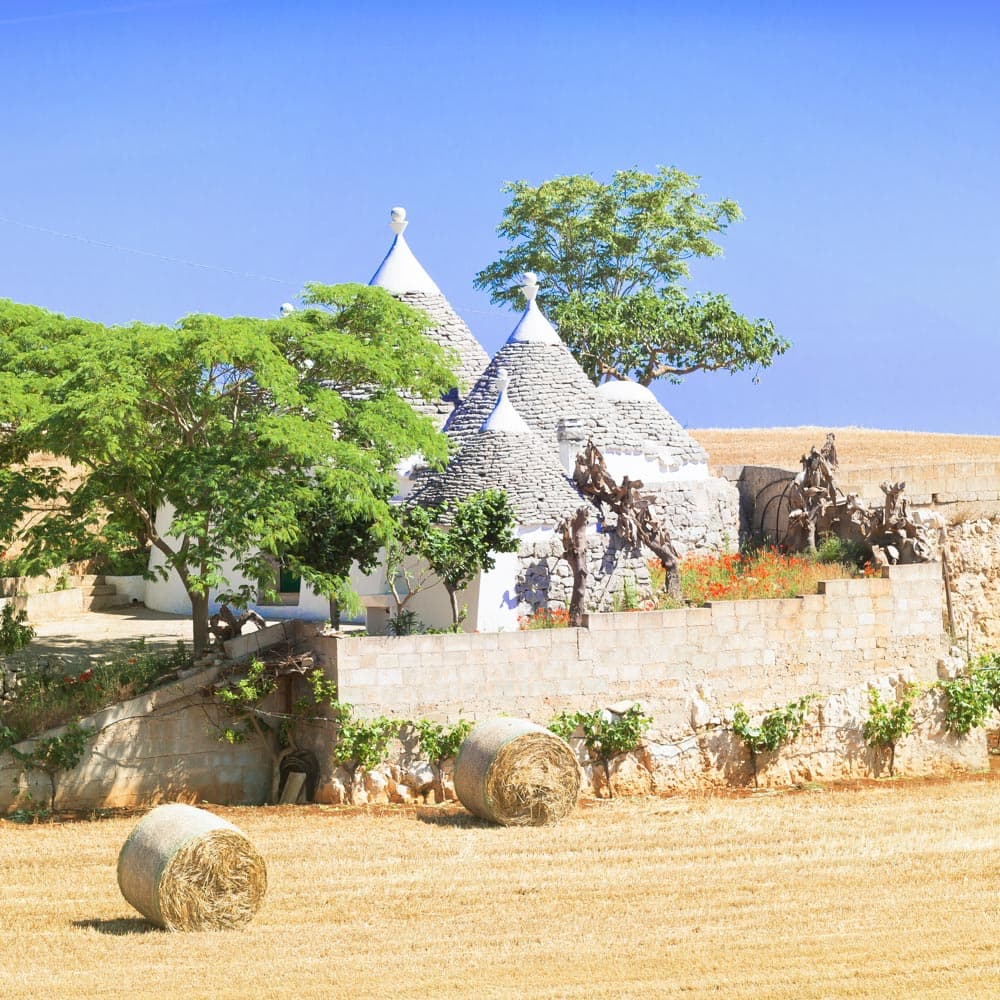Martina Franca — 