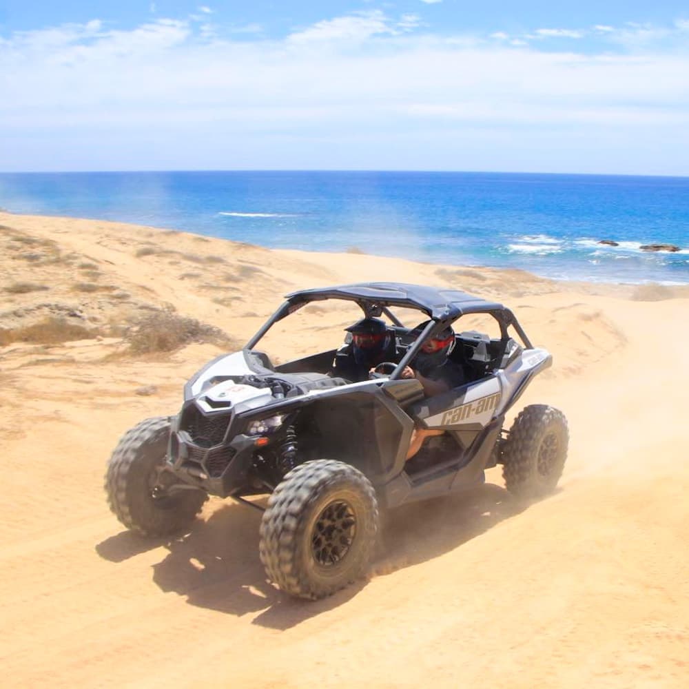 Wild Canyon, Los Cabos — Mexico, Central America