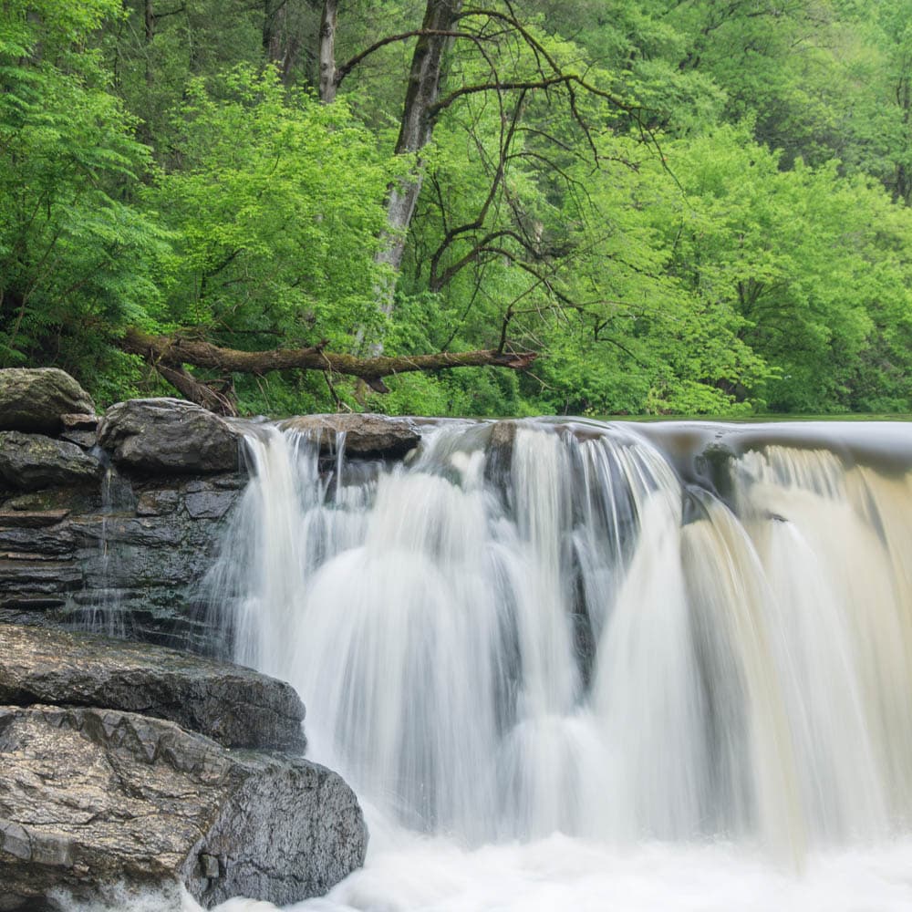 Wissahickon Valley Park — 