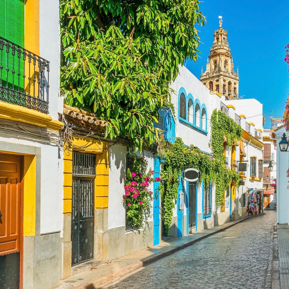 Cordoba — 