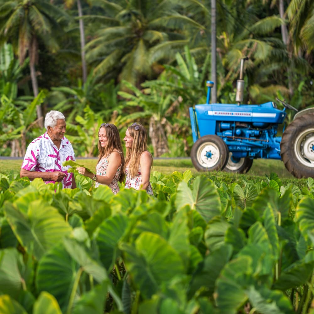 Arorangi District, Rarotonga — Cook Islands, Oceania