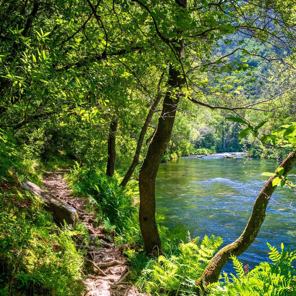 Fragas do Eume Natural Park — Spain, Western Europe