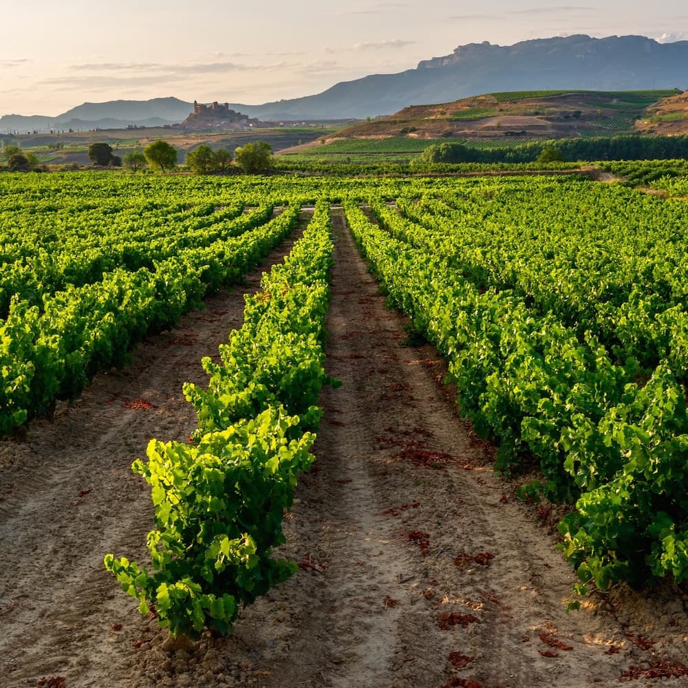 La Rioja — 