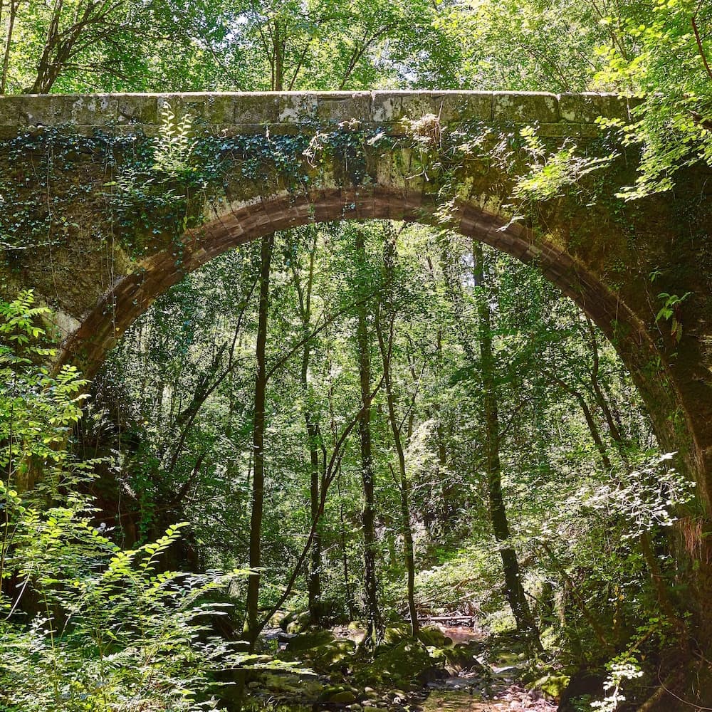 Fragas do Eume Natural Park — 