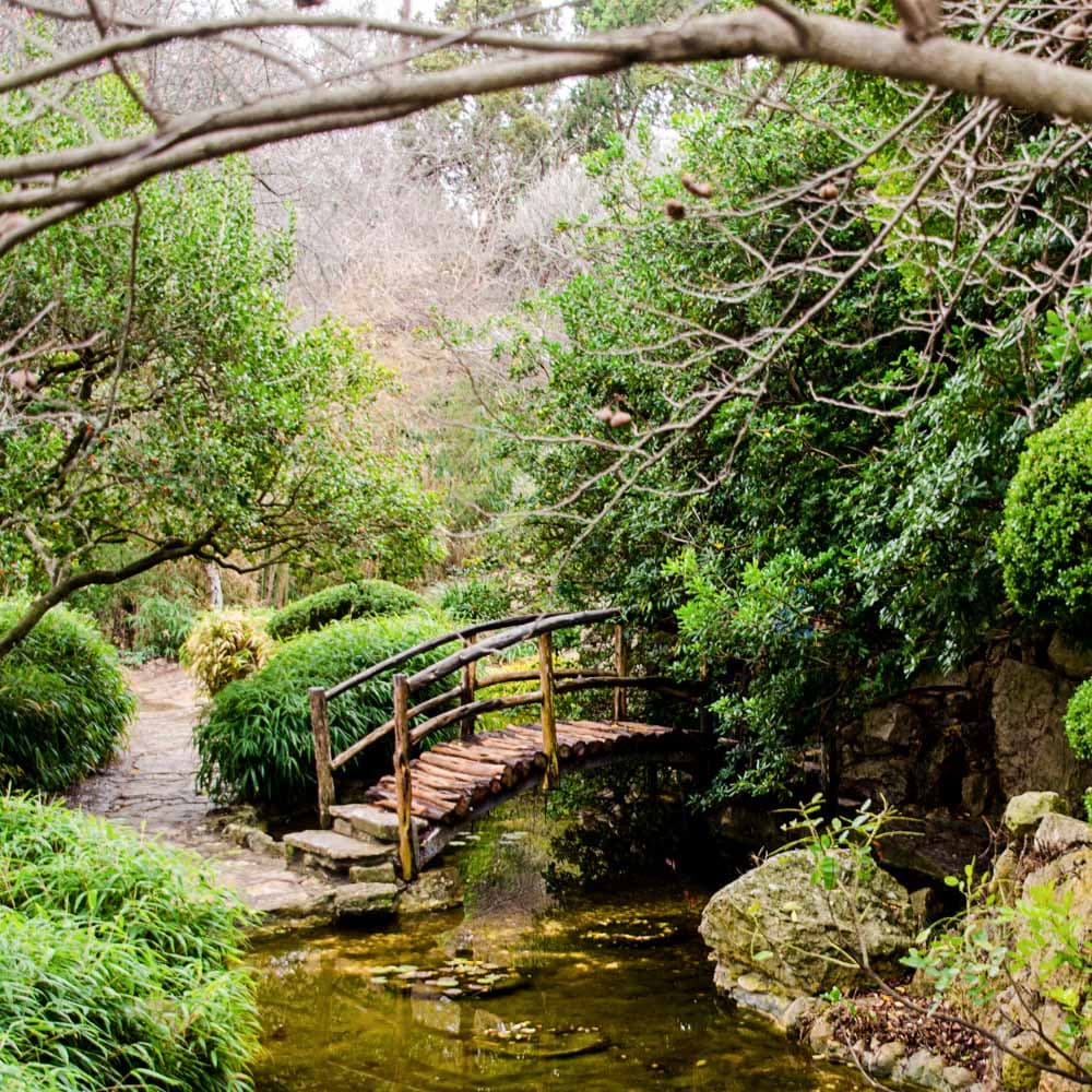 Zilker Botanical Garden — Austin, Texas, United States, North America